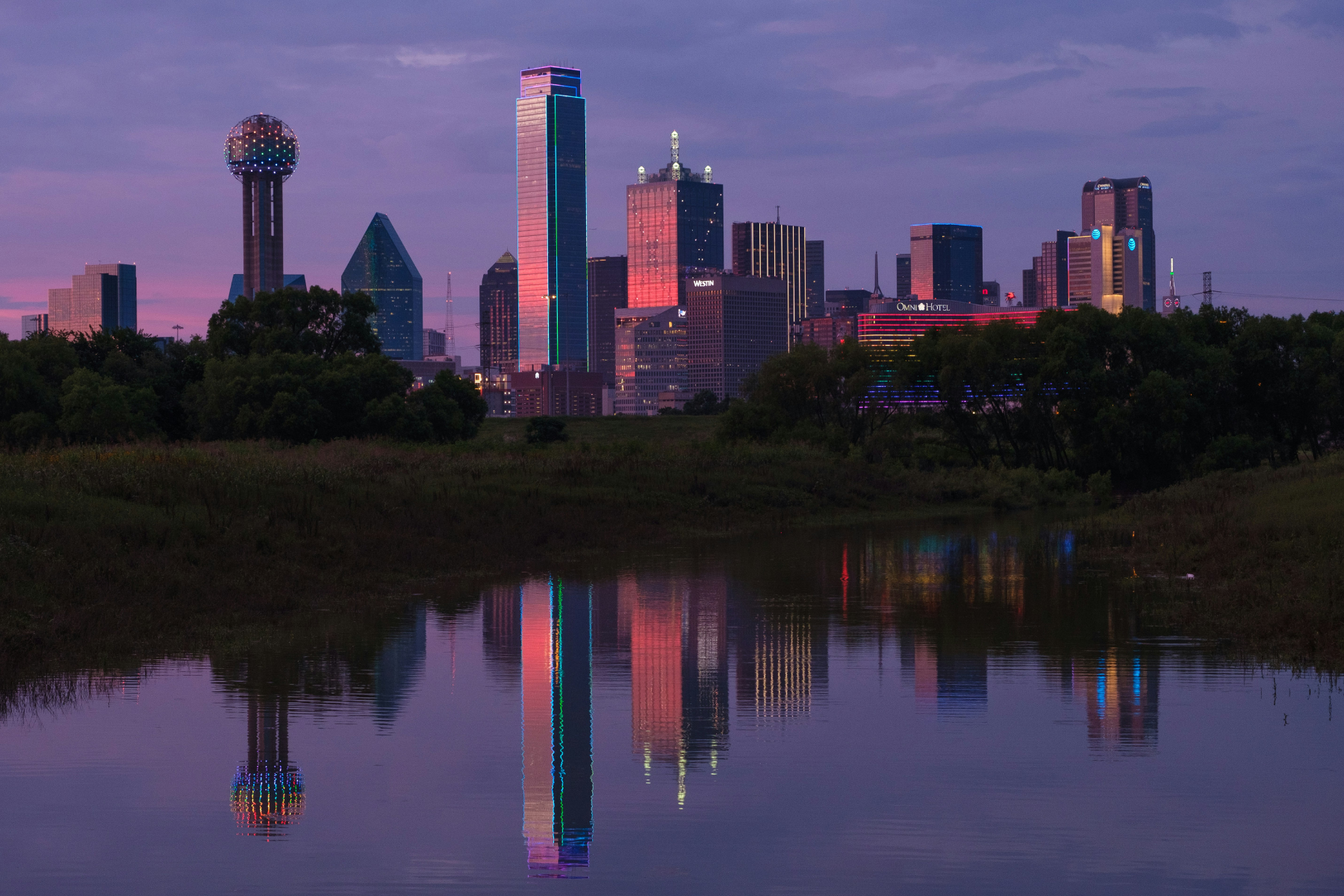 Dallas-Crop