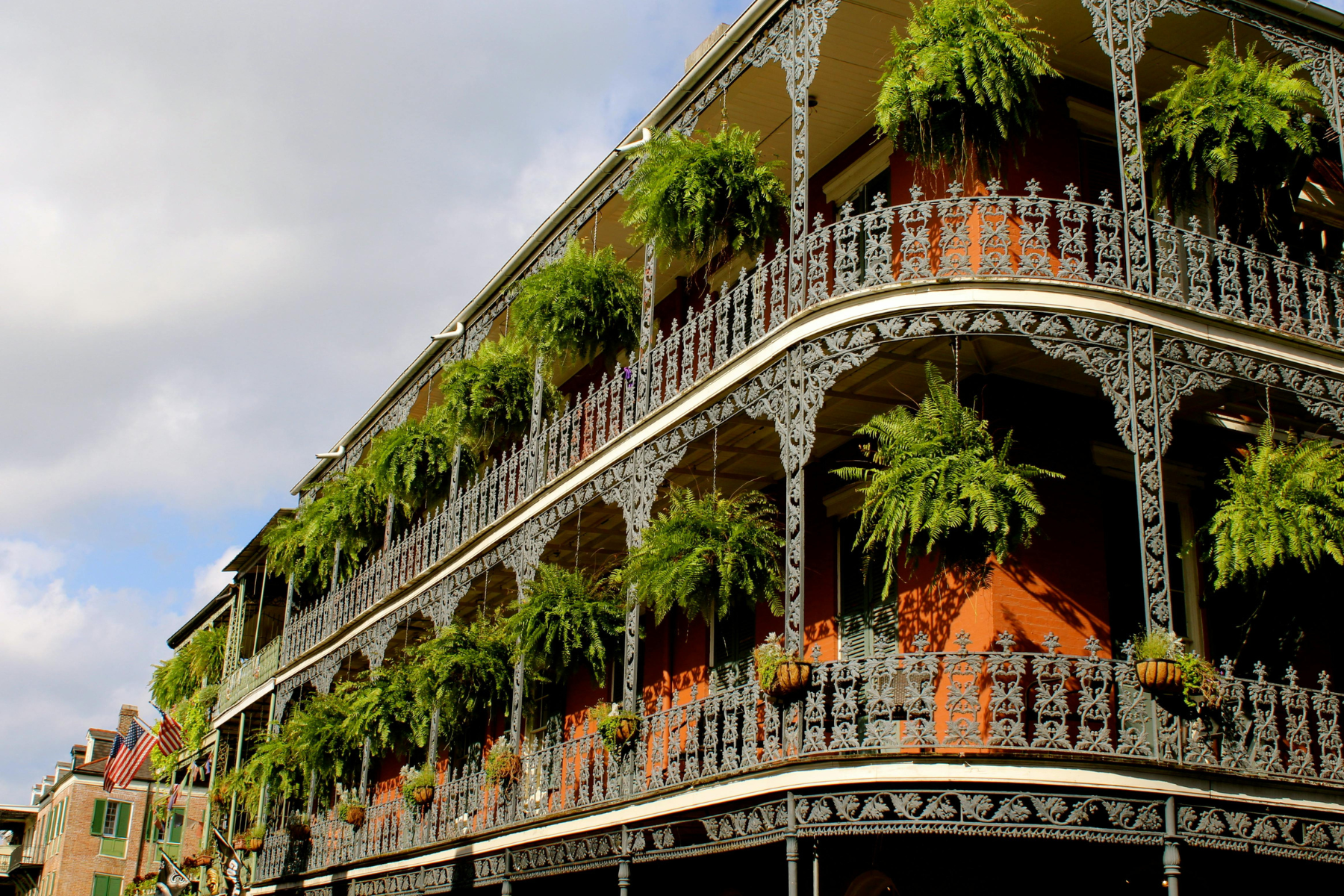 NOLA_CROP